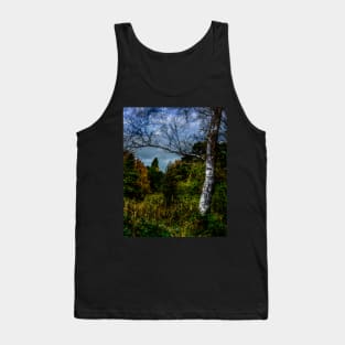 Autumnal Silver Birch Tank Top